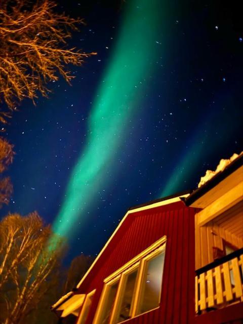 Bed And Breakfast Nordic Horn Brostadbotn Exteriér fotografie